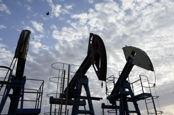 Birds fly over pump jacks at the Airankol oil field in Kazakhstan, April 20, 2026